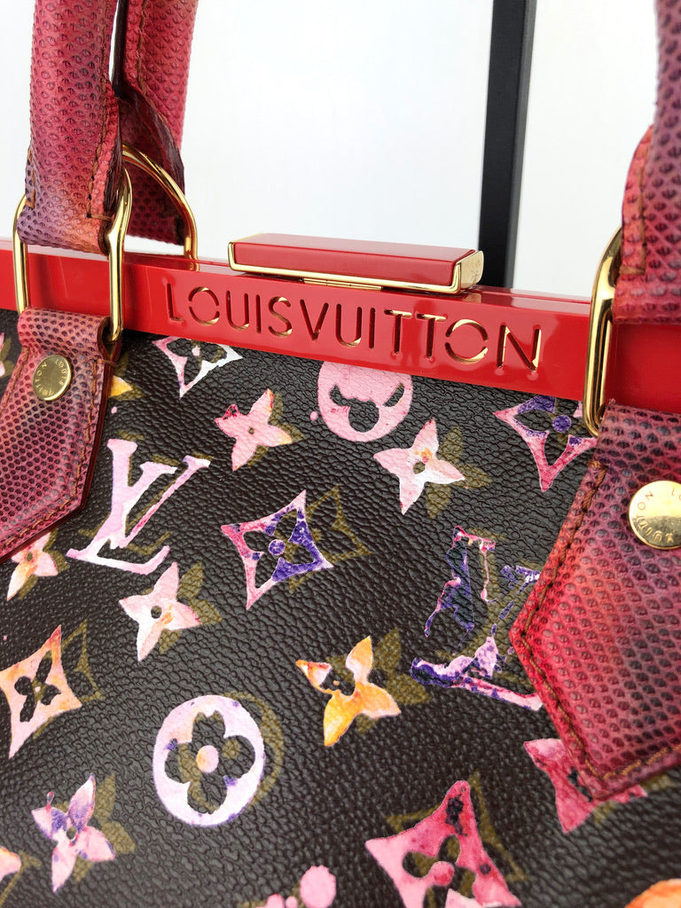 Louis Vuitton - Limited Edition - Monogram Watercolor Aquarelle Pappilon Frame Bag
